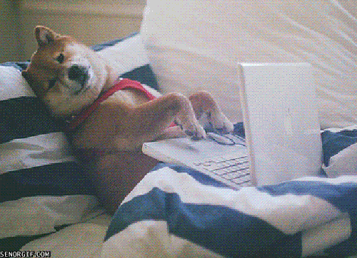 A .gif of a dog typing.
